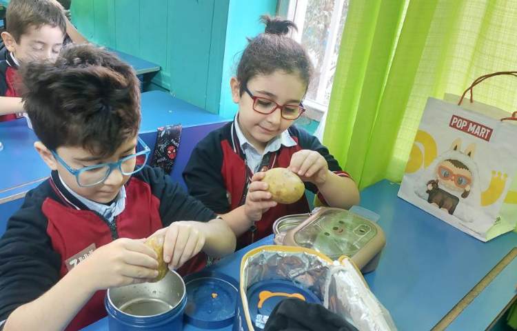 دست ورزی نشانه ی س س 3