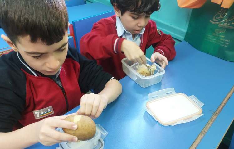 دست ورزی نشانه ی س س 4