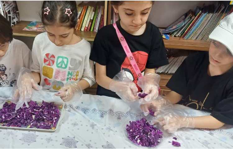 دهکده ماجراجویی 2