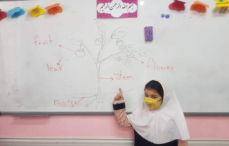 دوره علوم به زبان انگلیسی مبحث(parts of plants) 3