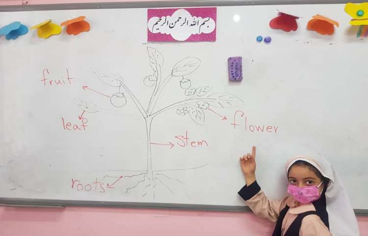 دوره علوم به زبان انگلیسی مبحث(parts of plants) 4