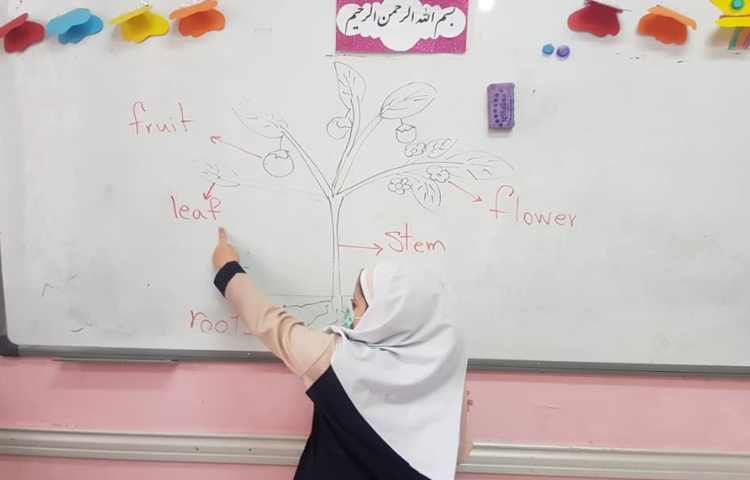 دوره علوم به زبان انگلیسی مبحث(parts of plants) 5