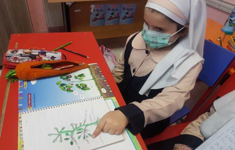 دوره علوم به زبان انگلیسی مبحث(parts of plants)