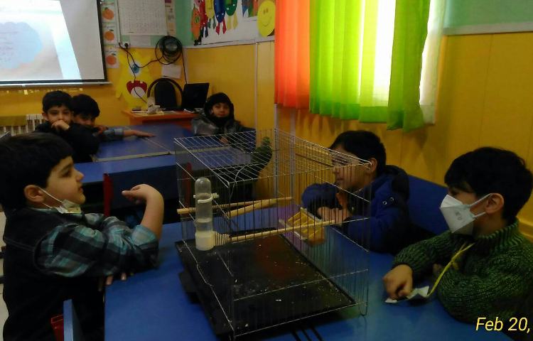 :دوستان خانگی، اوریگامی سگ 1