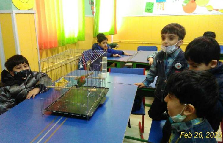 :دوستان خانگی، اوریگامی سگ 2