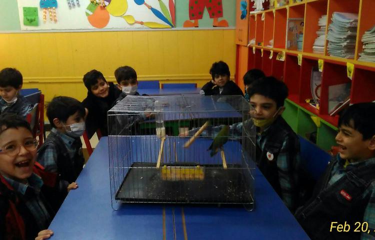 :دوستان خانگی، اوریگامی سگ 3