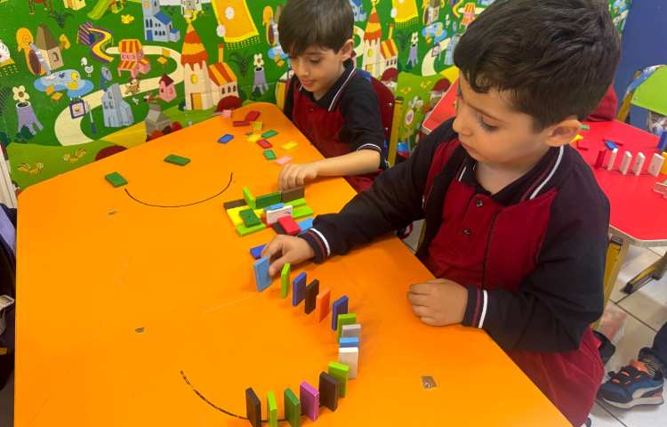 دومینو:چینش چرخشی 2