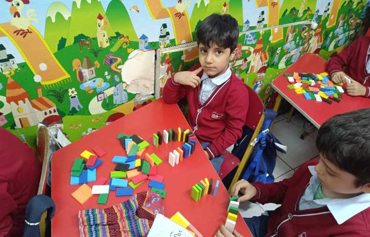 دومینو مبحث :پیچ دومینویی آموزش داده شد. 1