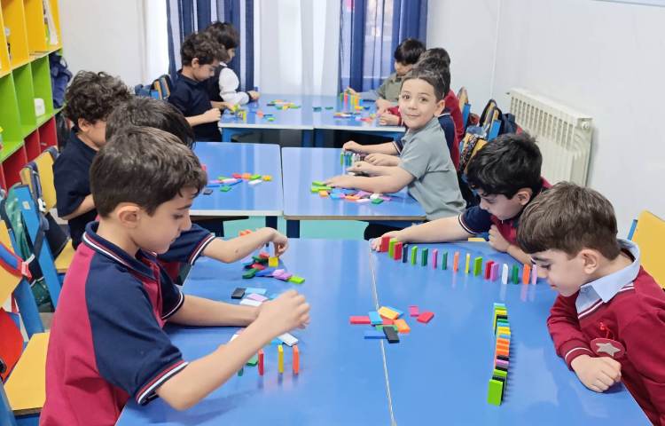 دومینو 7