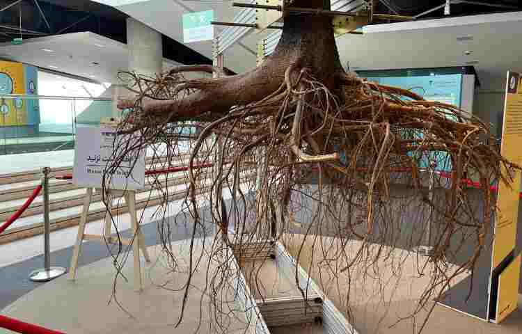 دومین اردو تابستان باغ علم نوجوان 9