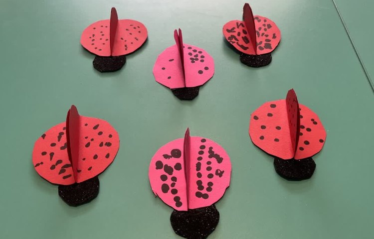 دیکشنری تصویری