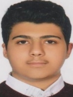 رامسین باقری