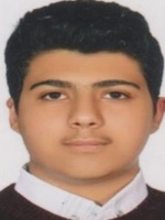 رامسین باقری