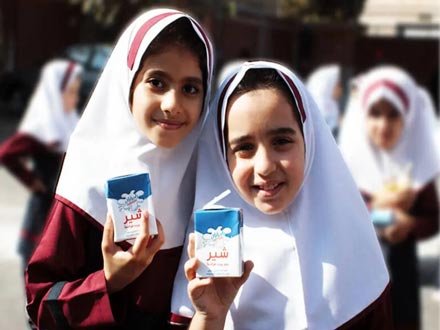 توزیع شیر در سراسر کشور منوط به پای کار آمدن شرکت‌های لبنی