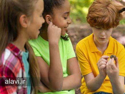 تشویق به بیان دیدگاه‌ها و نقد منطقی