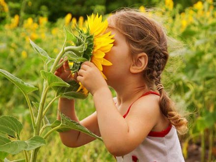 راه‌های زندگی سازگار با محیط زیست