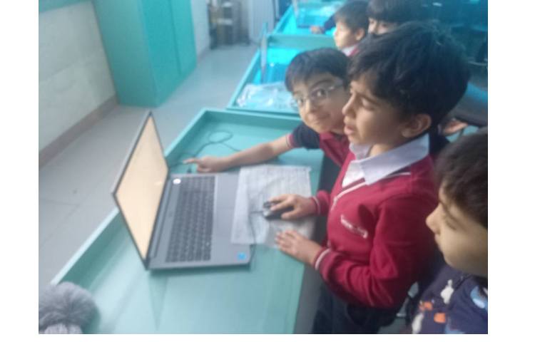 رایانه : نقاشی مناظر طبیعت در paint 8