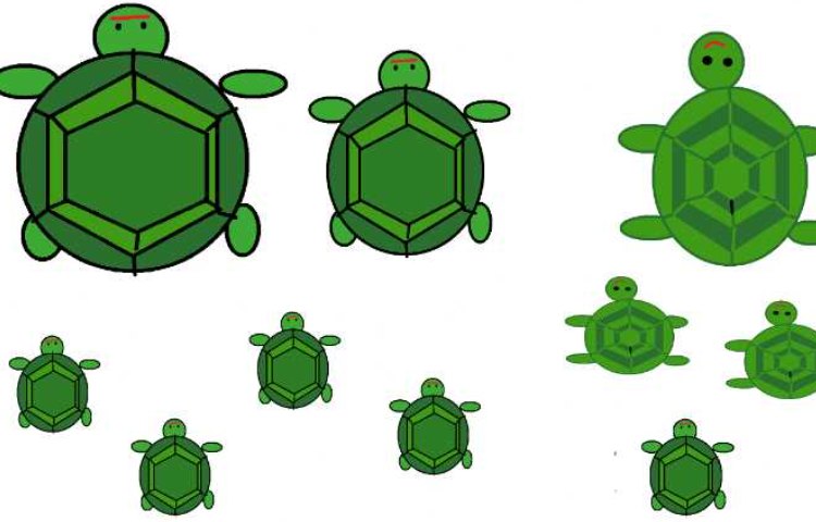 :رایانه، نقاشی های برتر پایه اول در برنامه paint 2