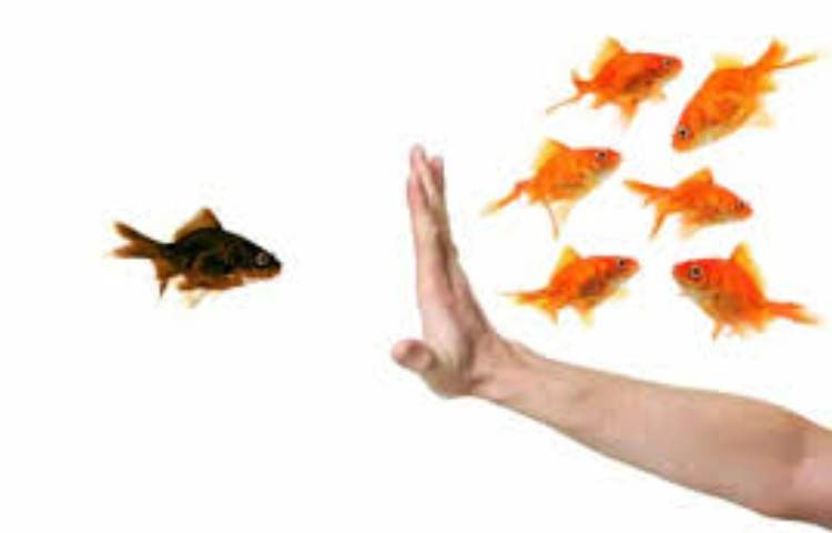 رروز جهانی بدون تبعیض 2