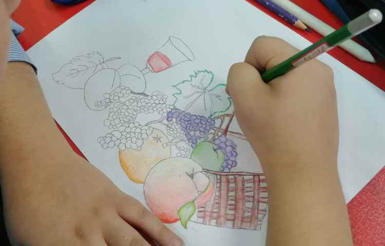 رنگ آمیزی میوه با مدادرنگی 3