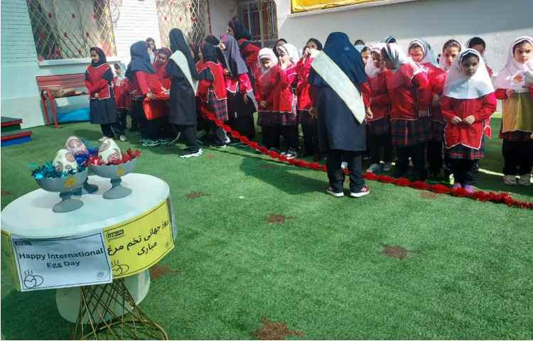 روزجهانی تخم مرغ 12