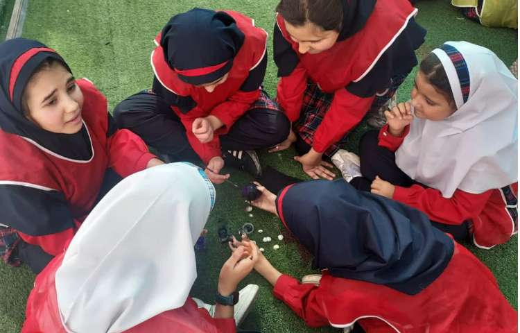 روزجهانی تخم مرغ 4