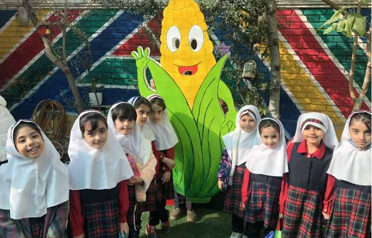 روزجهانی ذرت 3