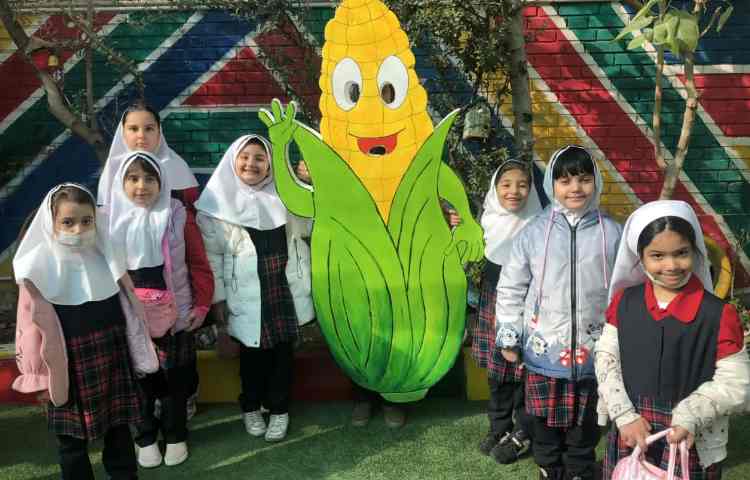 روزجهانی ذرت 4