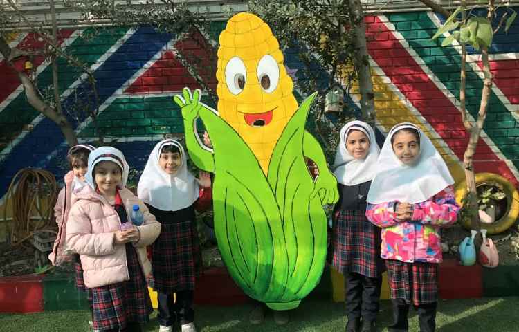 روزجهانی ذرت 6