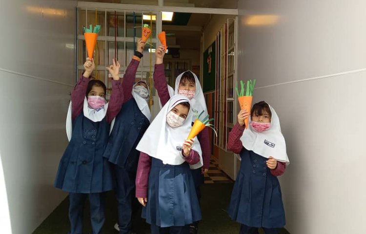 روزجهانی هویج 1