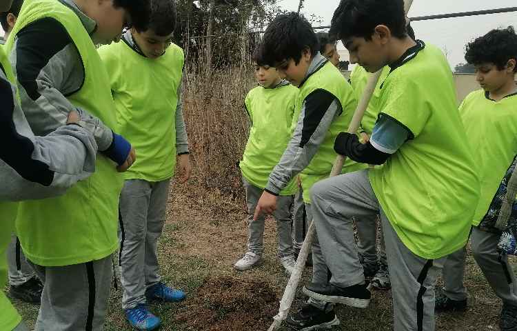 روزدرختکاری 2