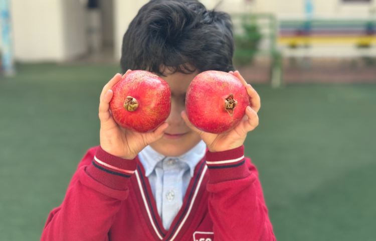 روز انار:برگزاری جشن انار 9