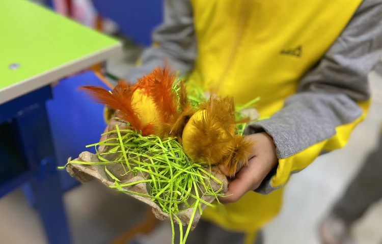 روز تخم مرغ و صبحانه سالم 14