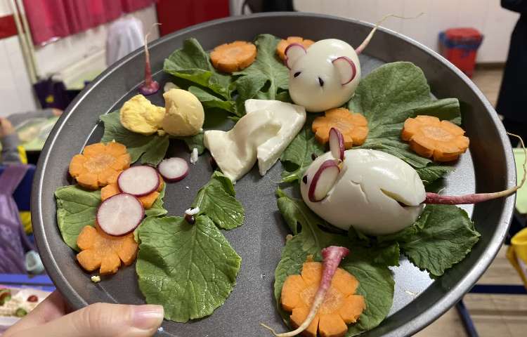 روز تخم مرغ و صبحانه سالم 7