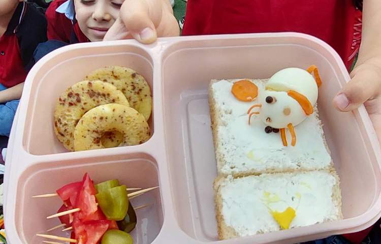 روز تخم مرغ 13