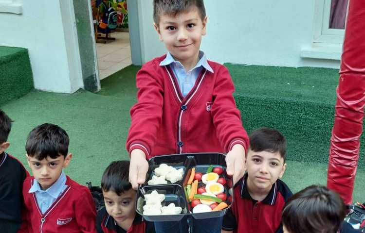 روز تخم مرغ 14