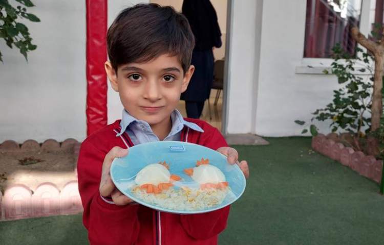 روز تخم مرغ 17