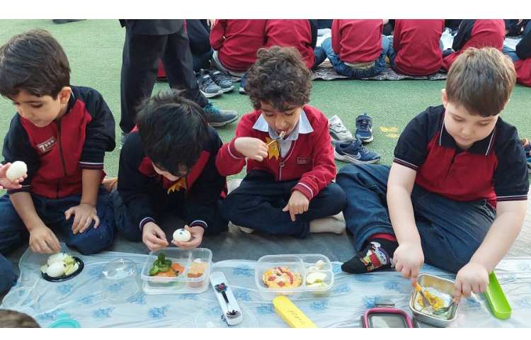 روز تخم مرغ 2