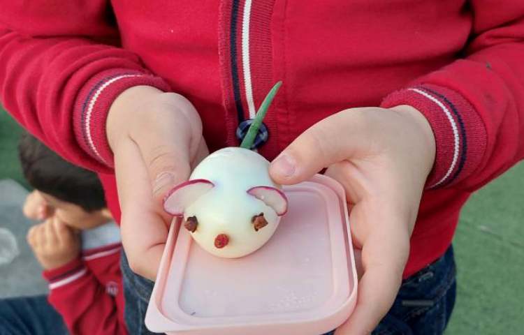 روز تخم مرغ 3