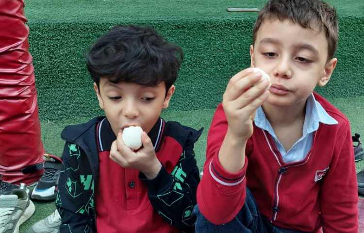 روز تخم مرغ 6