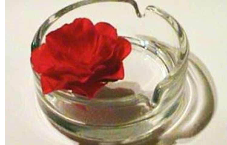 روز جهانی بدون دخانیات گرامی باد 1