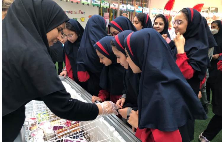 روز جهانی بستنی 7