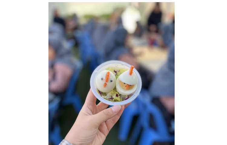 روز جهانی تخم مرغ 19