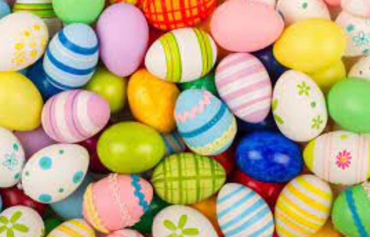 روز جهانی تخم مرغ 2