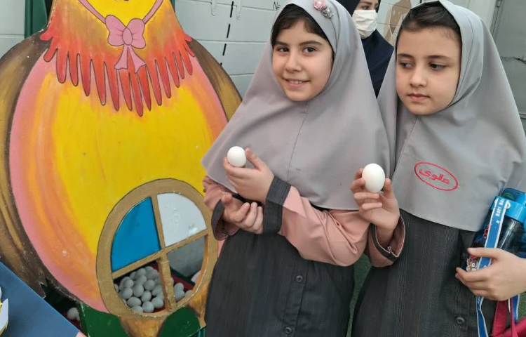 روز جهانی تخم مرغ 4