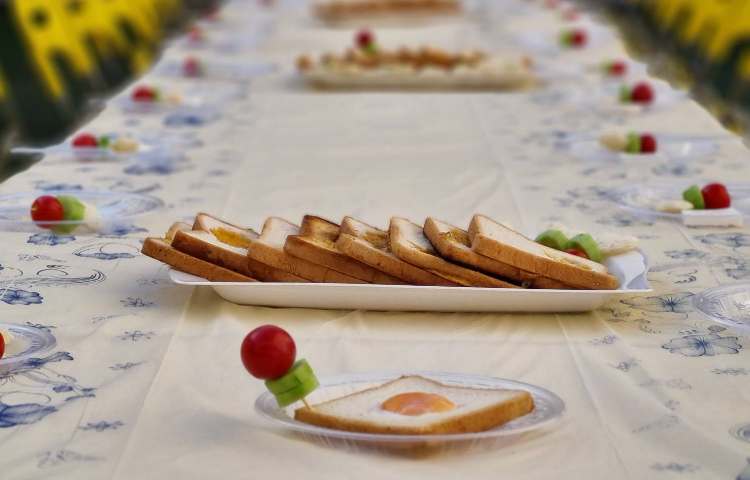 روز جهانی تخم مرغ 6