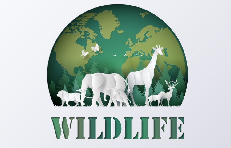 روز جهانی حیات وحش