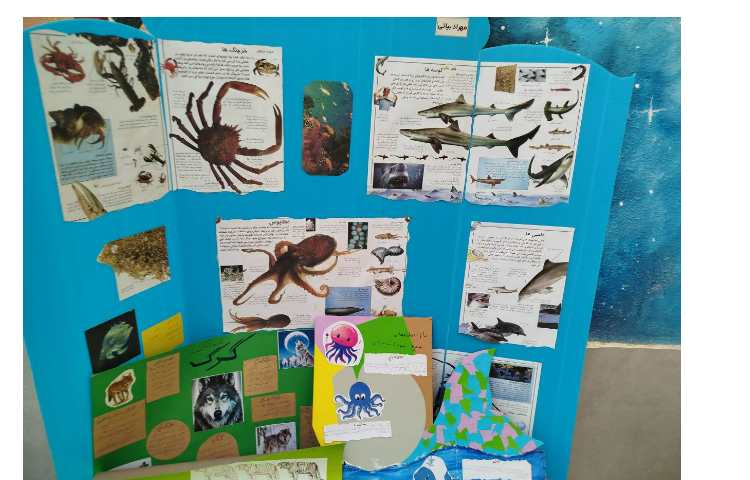 روز جهانی حیوانات 6