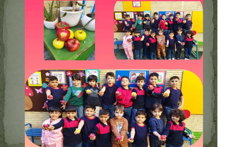 «روز جهانی سیب» رنگین کمان1 2