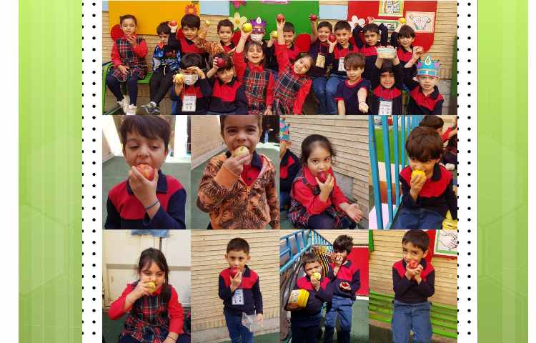 «روز جهانی سیب» رنگین کمان2 1